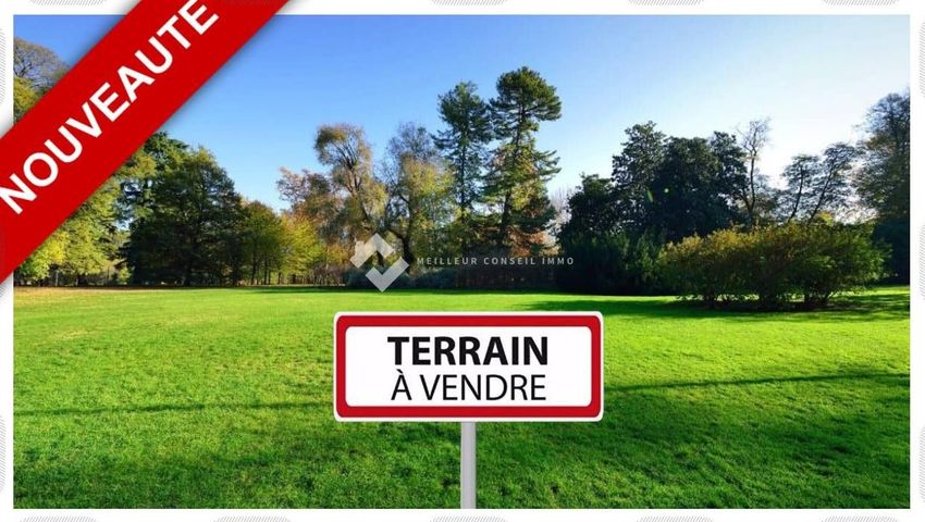Image de terrain à Dampmart