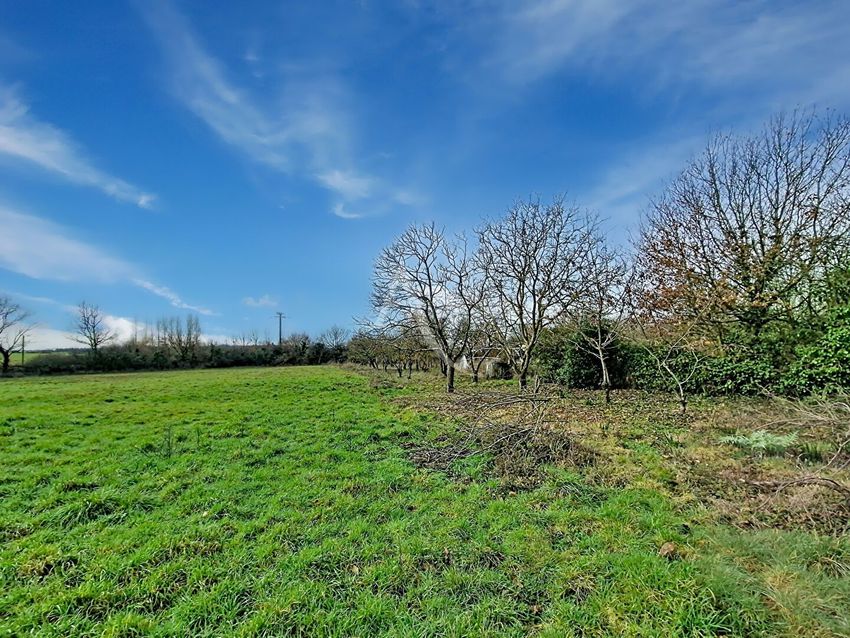 Image de terrain à Lys-Haut-Layon