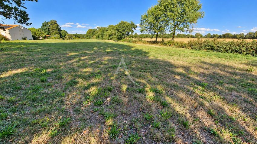 Image de terrain à Grosbreuil