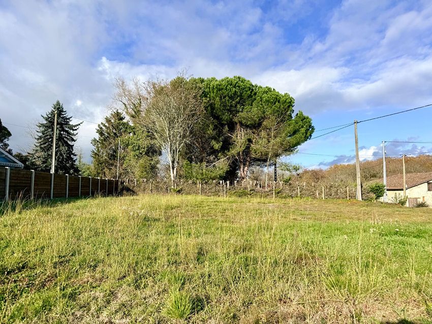 Image de terrain à Saint-Martin-de-Laye
