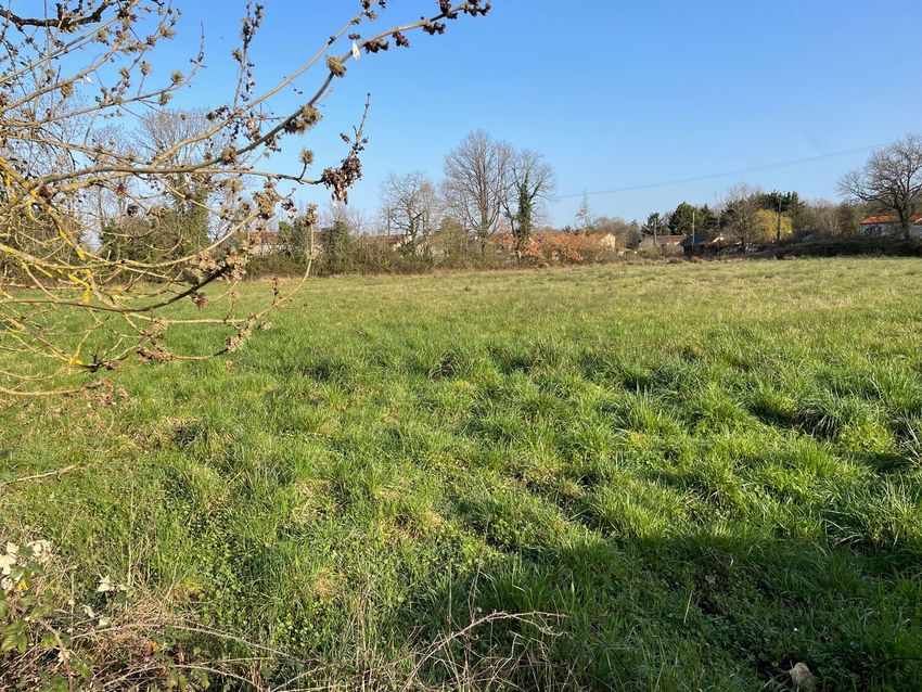 Image de terrain à Mignaloux-Beauvoir