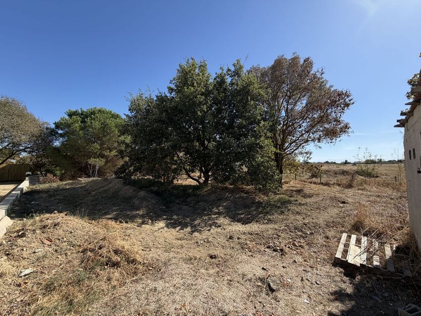 Image de terrain à Seysses