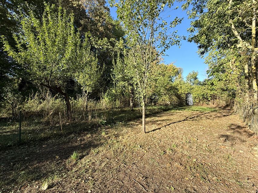 Image Jardin à  maison individuelle de Sedan