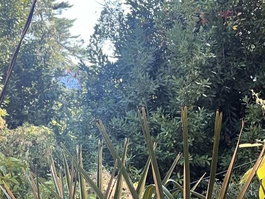 Image de terrain à Cannes