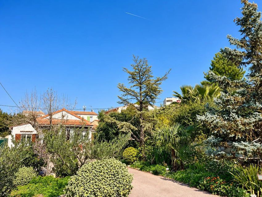 Image Jardin à  maison individuelle de 220 Boulevard Henri Tasso