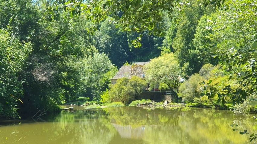 Image Jardin à  maison individuelle de Rignac