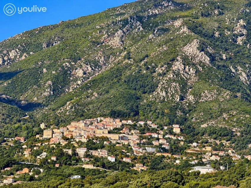 Image Vue à appartement de Cervione