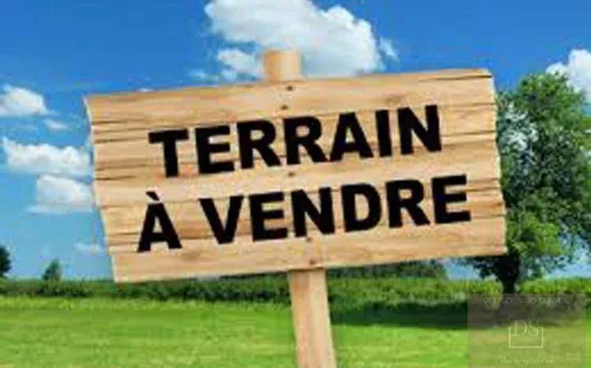 Image de terrain à Belin-Béliet