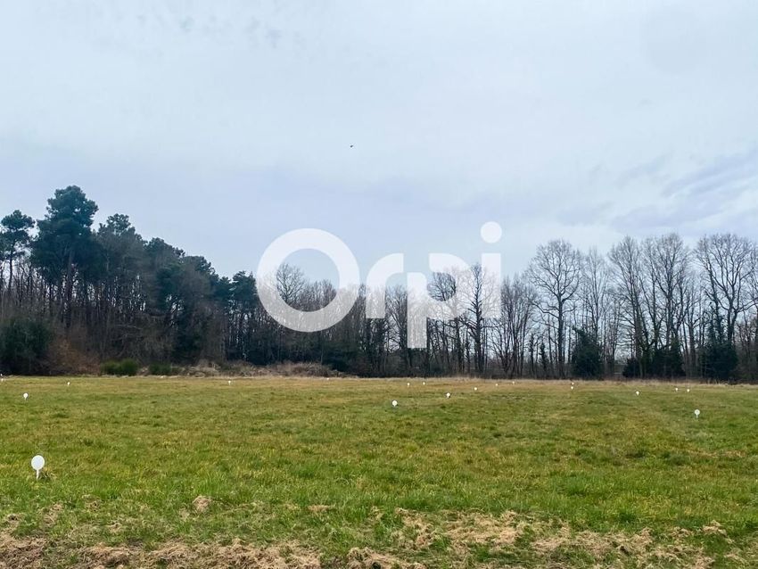Image de terrain à La Breille-les-Pins