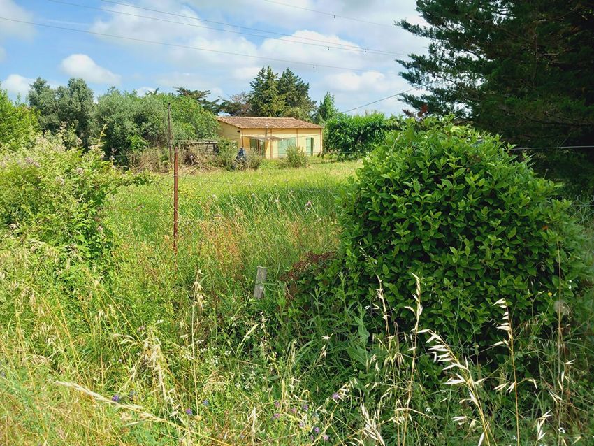 Image Jardin à  maison individuelle de Magalas