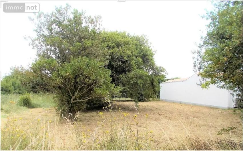 Image de terrain à Saint-Denis-d'Oléron