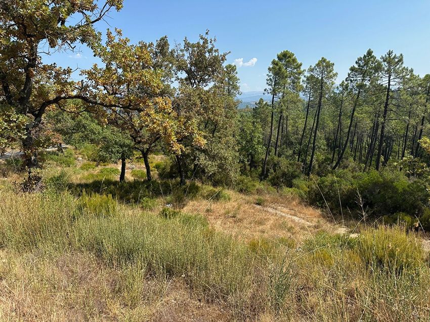 Image de terrain à Tourrettes