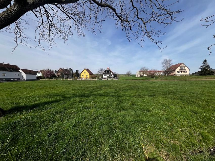 Image Jardin à  maison individuelle de Schwenheim