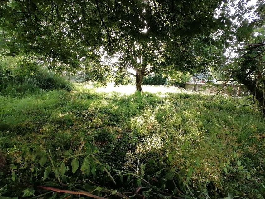 Image de terrain à Saint-Georges-de-Didonne