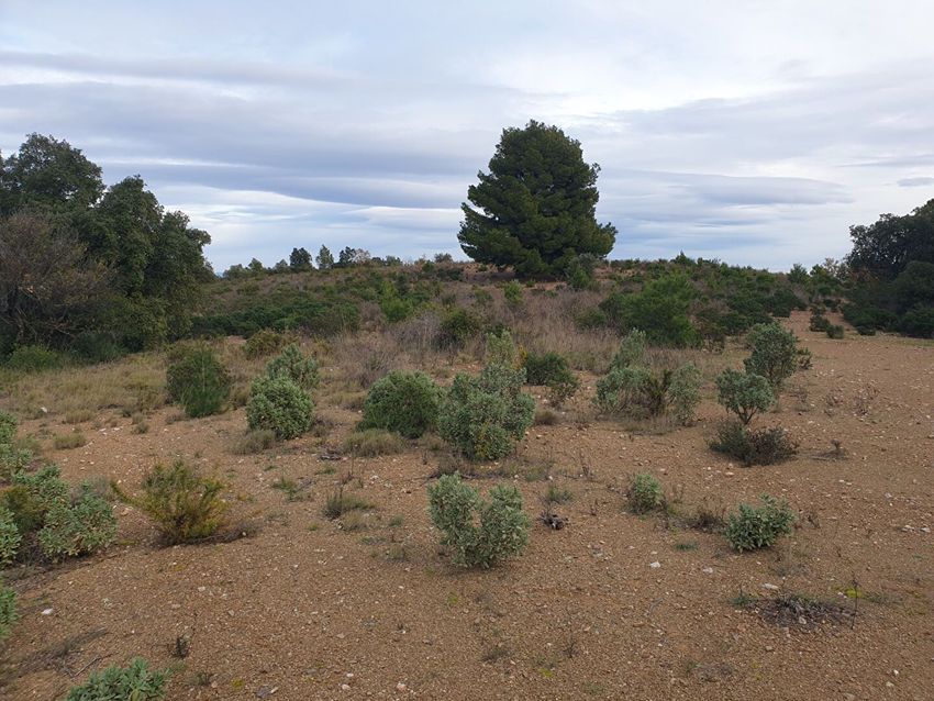 Image Vue à terrain de Tordères