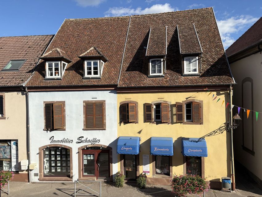 Image Façade à  maison individuelle de Diemeringen