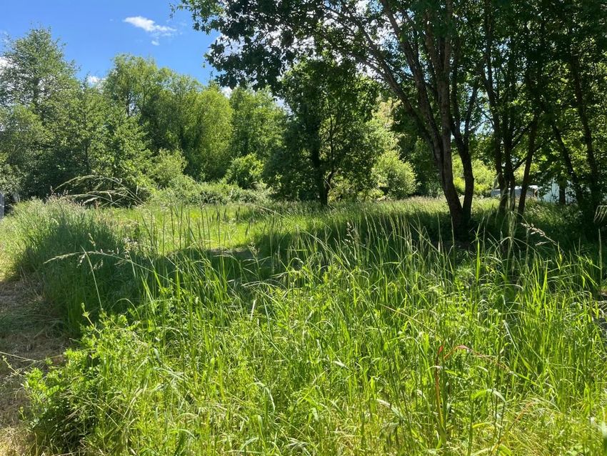 Image de terrain à La Tremblade