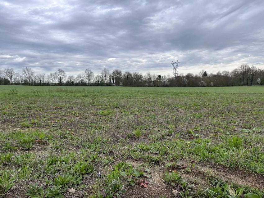Image de terrain à Orée d'Anjou