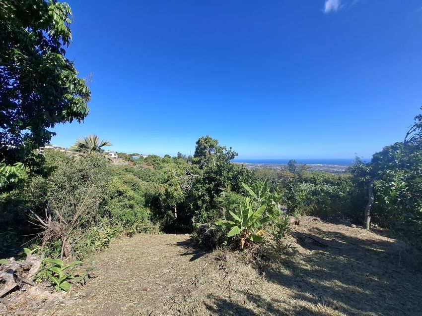 Image de terrain à Saint-Pierre