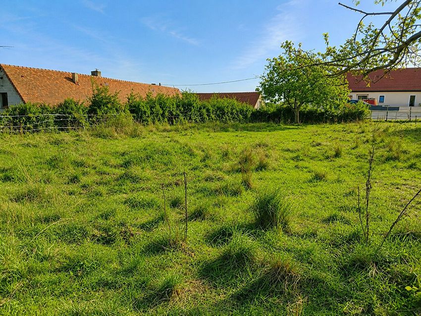 Image de terrain à Néron