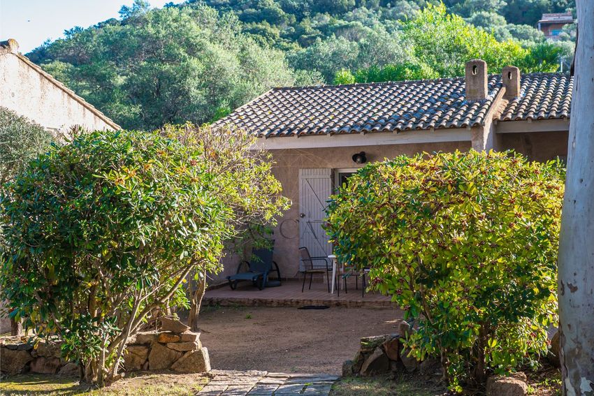 Image Jardin à  maison individuelle de Porto-Vecchio