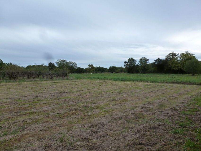 Image de terrain à Sadirac