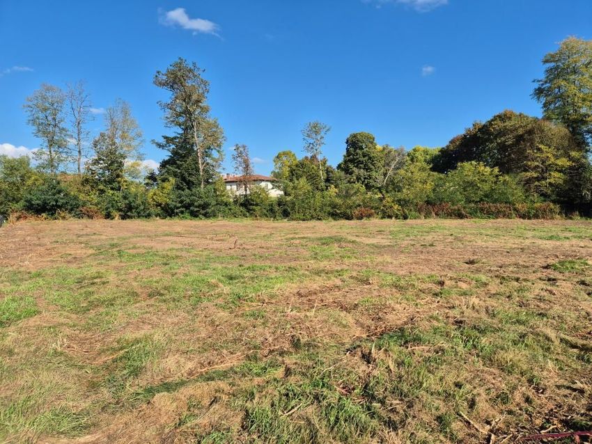 Image de terrain à Rion-des-Landes