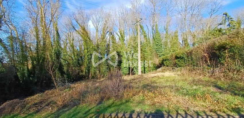Image de terrain à Villemareuil