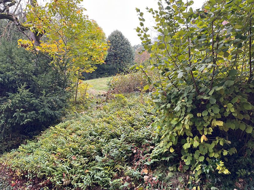 Image de terrain à Villennes-sur-Seine
