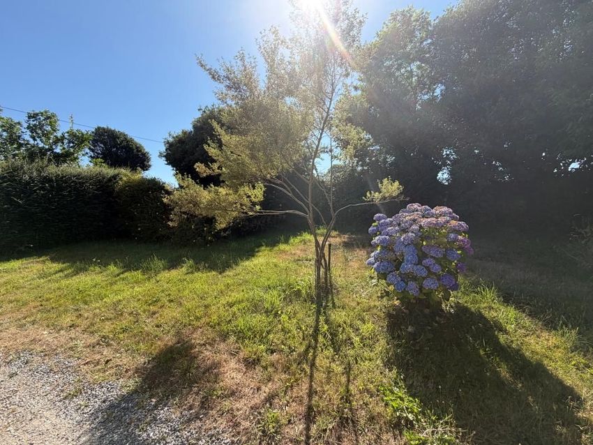Image Jardin à  maison individuelle de Guilers