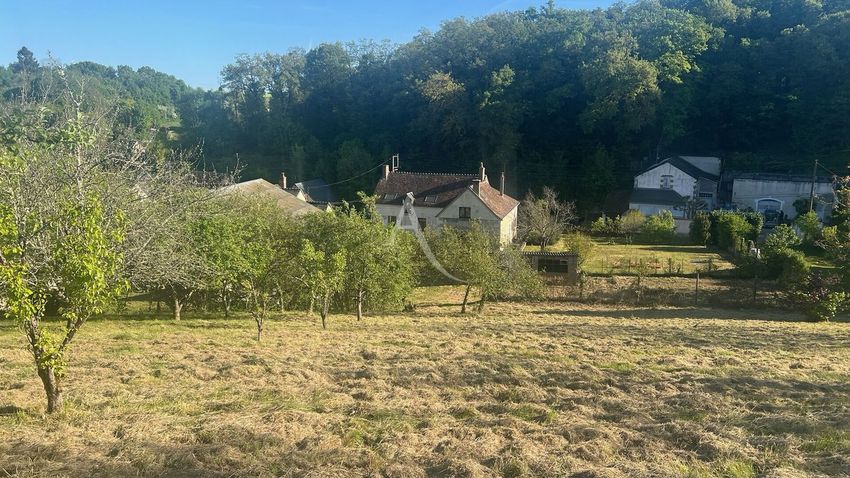 Image Jardin à  maison individuelle de Chissay-en-Touraine