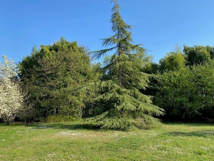 Image de terrain à Martignas-sur-Jalle