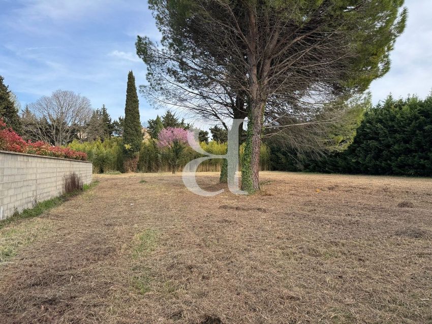 Image de terrain à Saint-Rémy-de-Provence