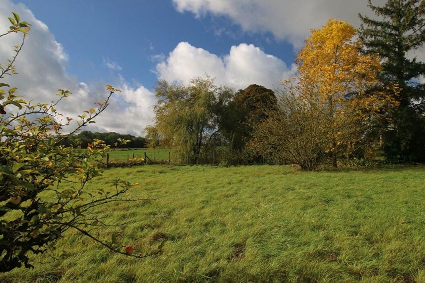 Image de terrain à La Chapelle-sur-Chézy