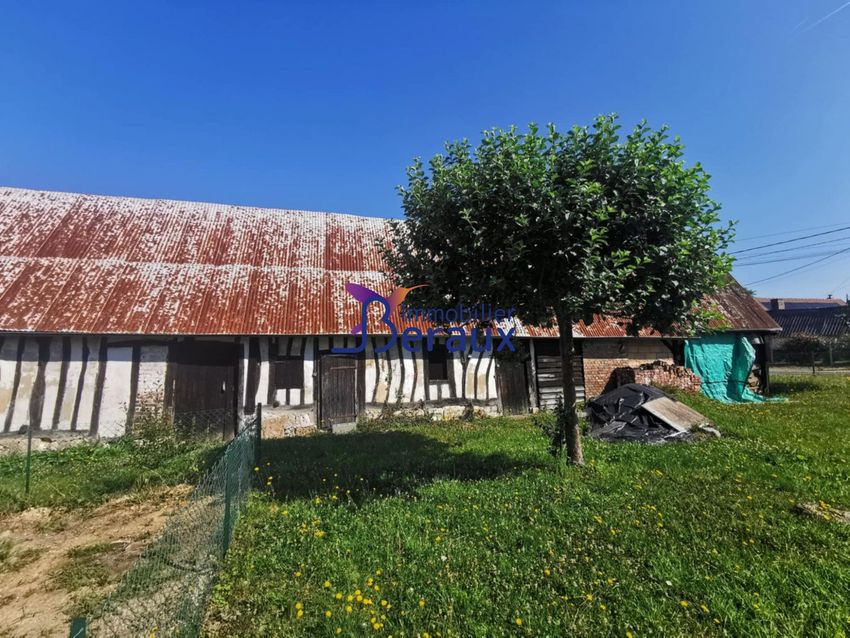 Image de terrain à Jumièges