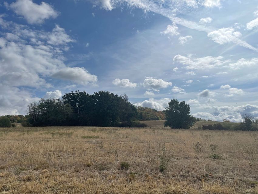 Image Vue à terrain de Auxerre