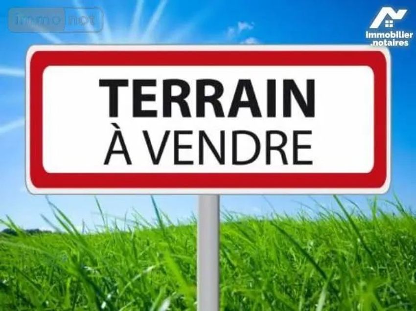 Image de terrain à Coulaines