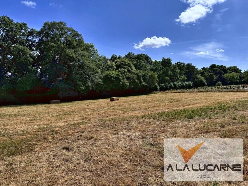 Image de terrain à Châteaubriant