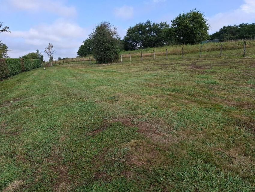 Image de terrain à Mouguerre
