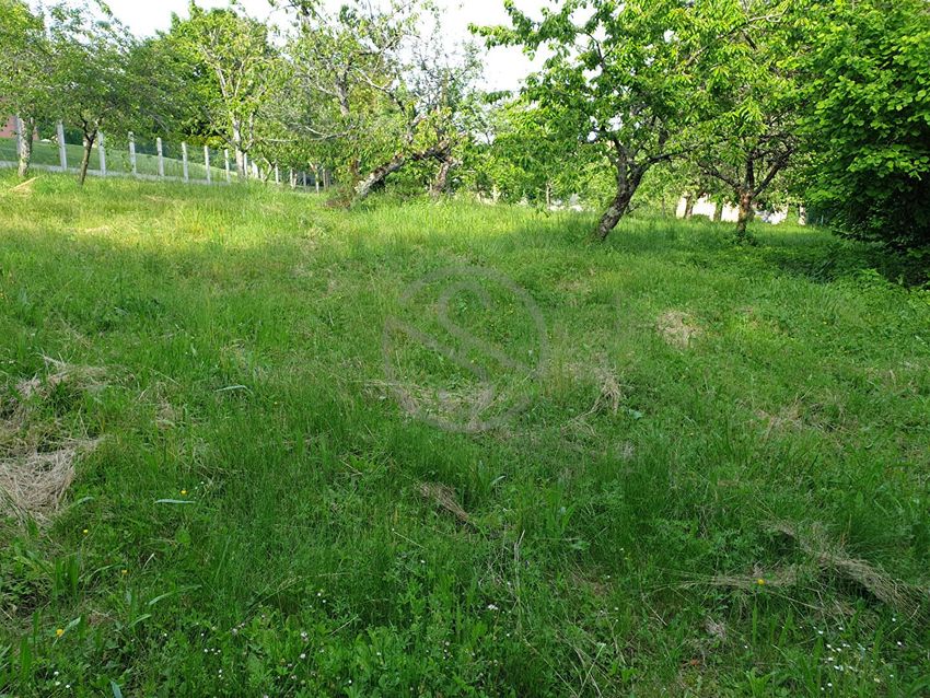 Image de terrain à La Côte-Saint-André