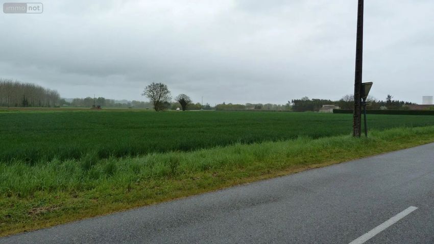 Image de terrain à Lamagistère