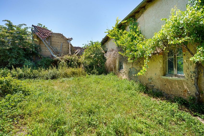 Image Jardin à  maison individuelle de Saint-Pierre-le-Vieux