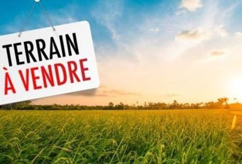 Image de terrain à Rion-des-Landes