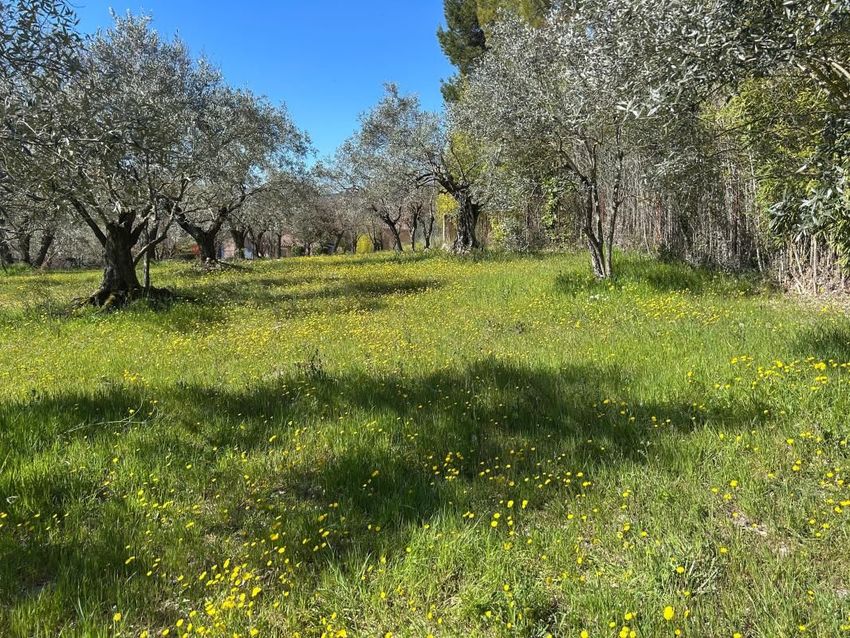 Image de terrain à Entrechaux