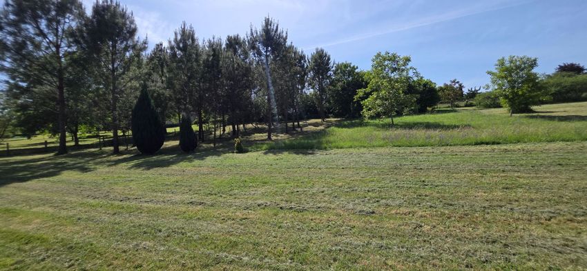 Image de terrain à Leigné-les-Bois