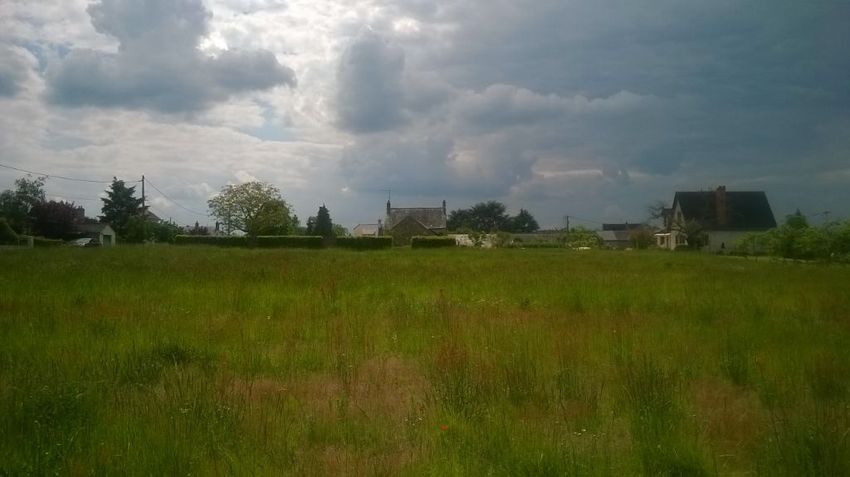 Image de terrain à Muides-sur-Loire