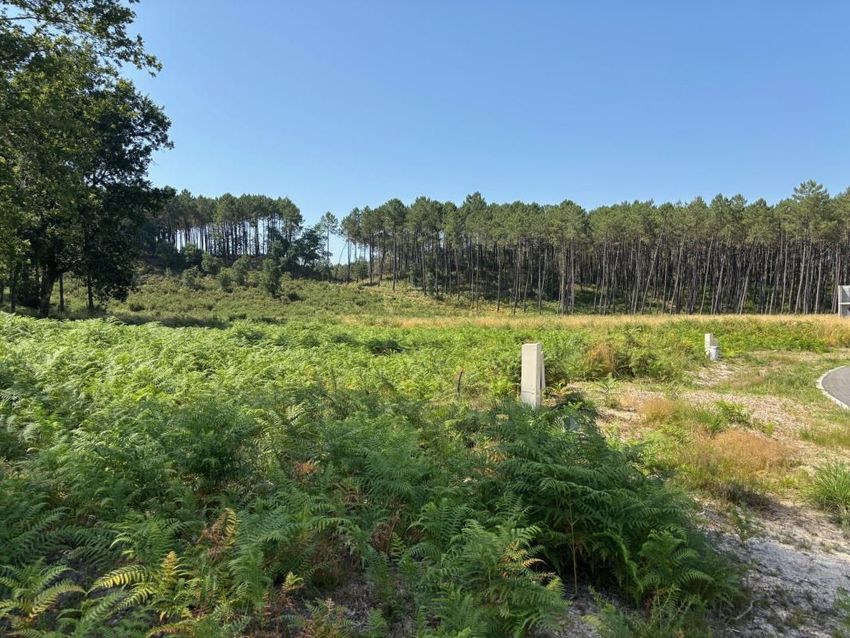 Image de terrain à Vielle-Saint-Girons