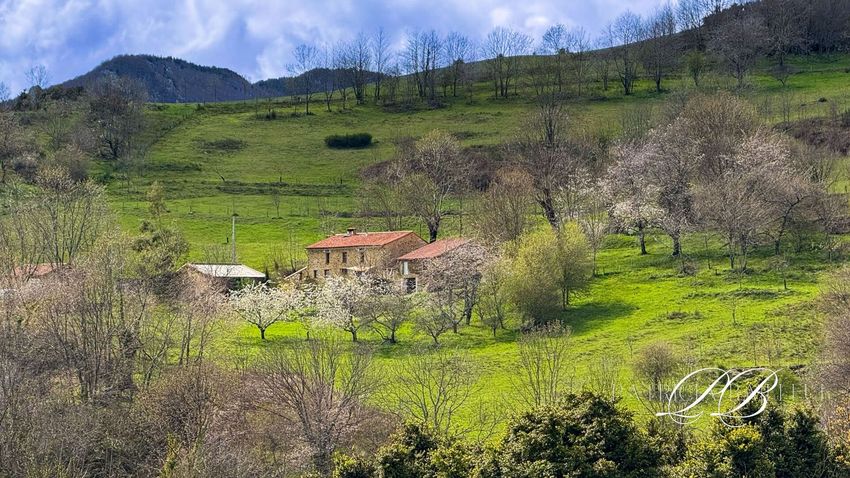 Image Vue à  maison individuelle de Montferrer