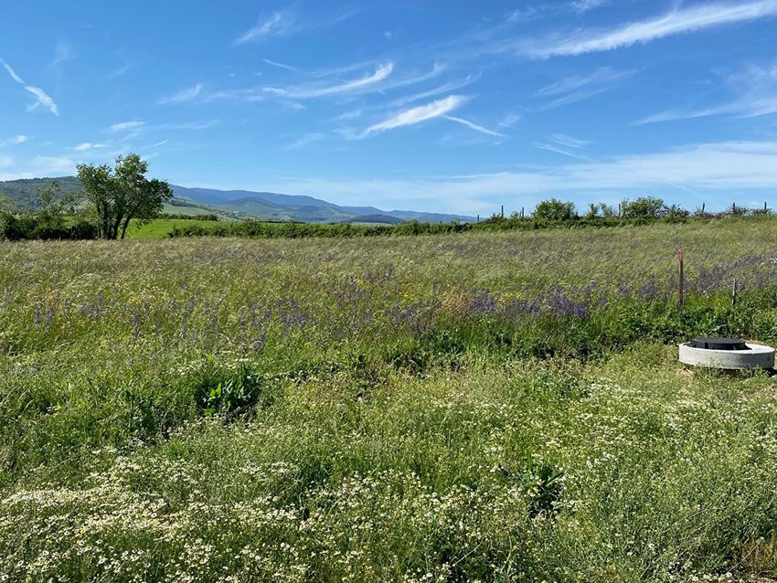 Image Vue à terrain de Tartaras