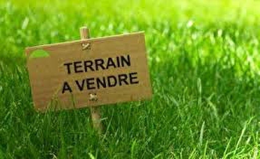 Image de terrain à Ercé-en-Lamée
